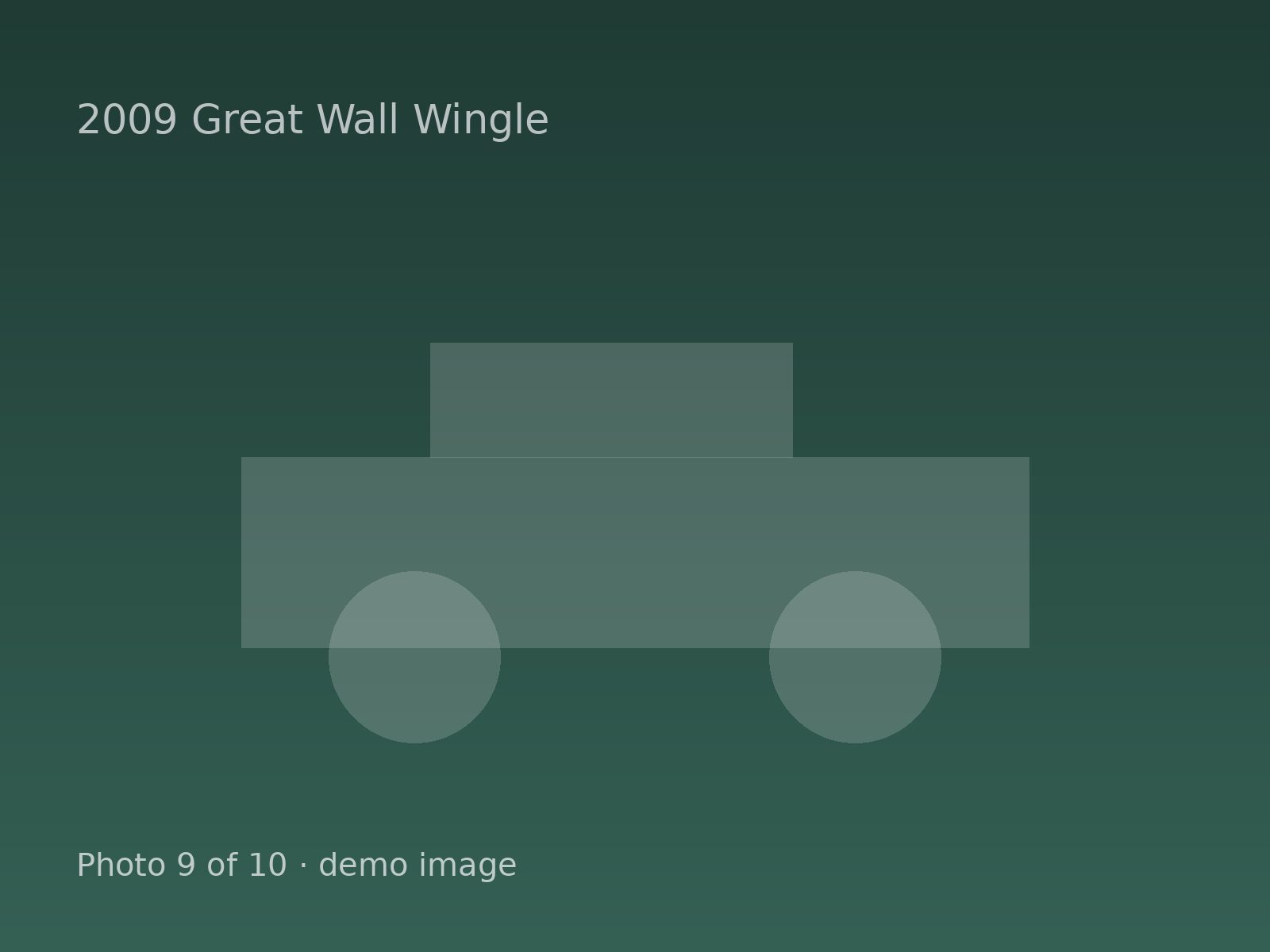 2009 Great Wall Wingle — photo 9 of 10