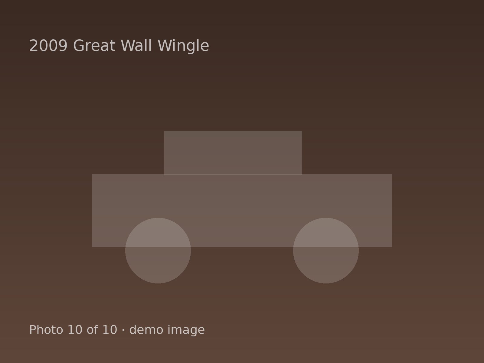 2009 Great Wall Wingle — photo 10 of 10
