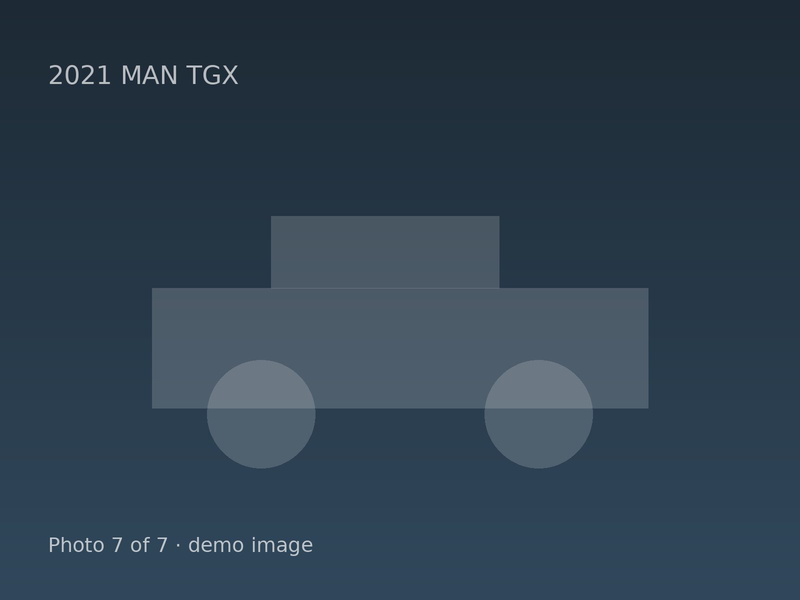 2021 MAN TGX — photo 7 of 7