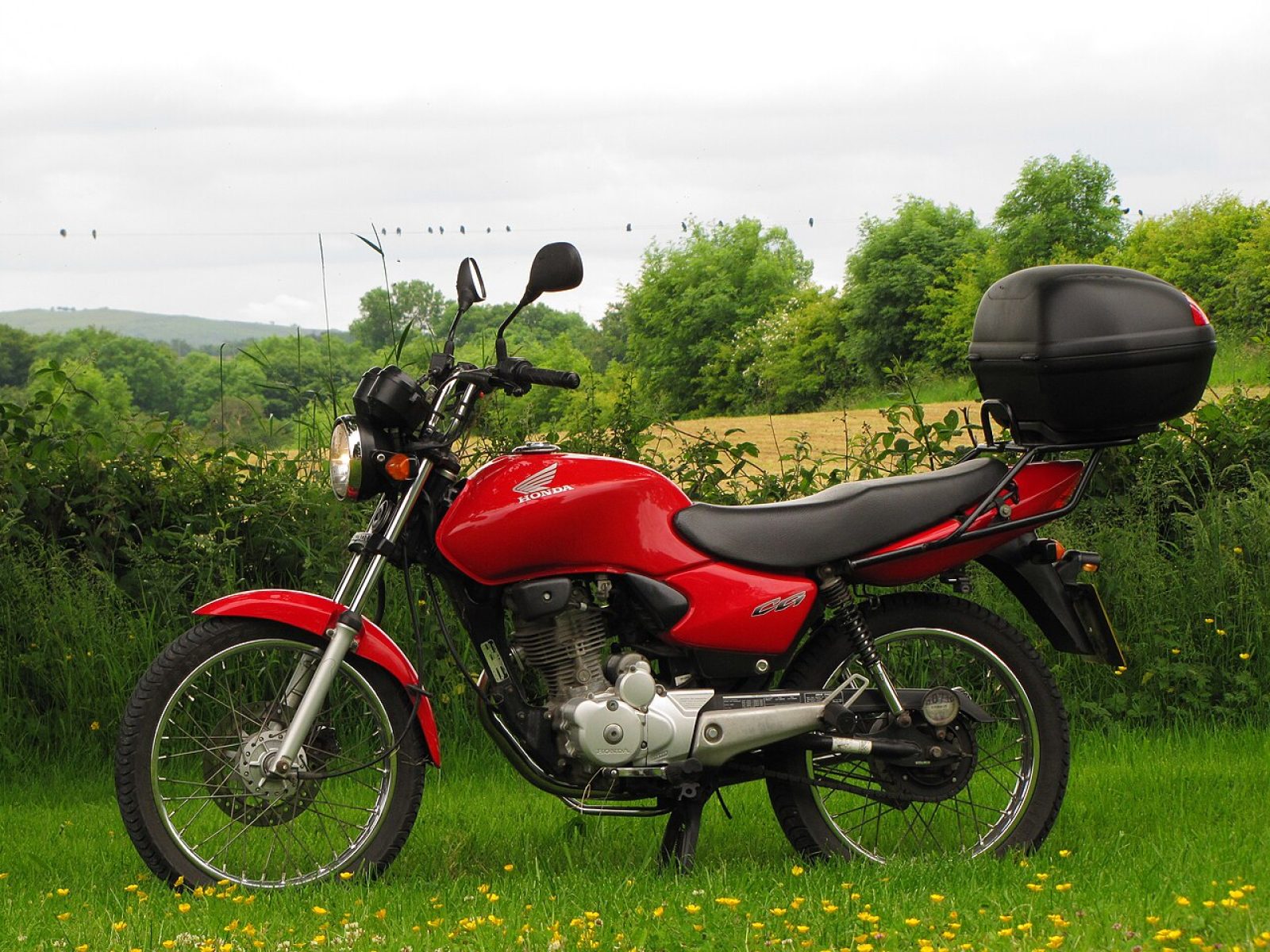 2015 Honda Motorcycles Ace CB125 — photo 11 of 11