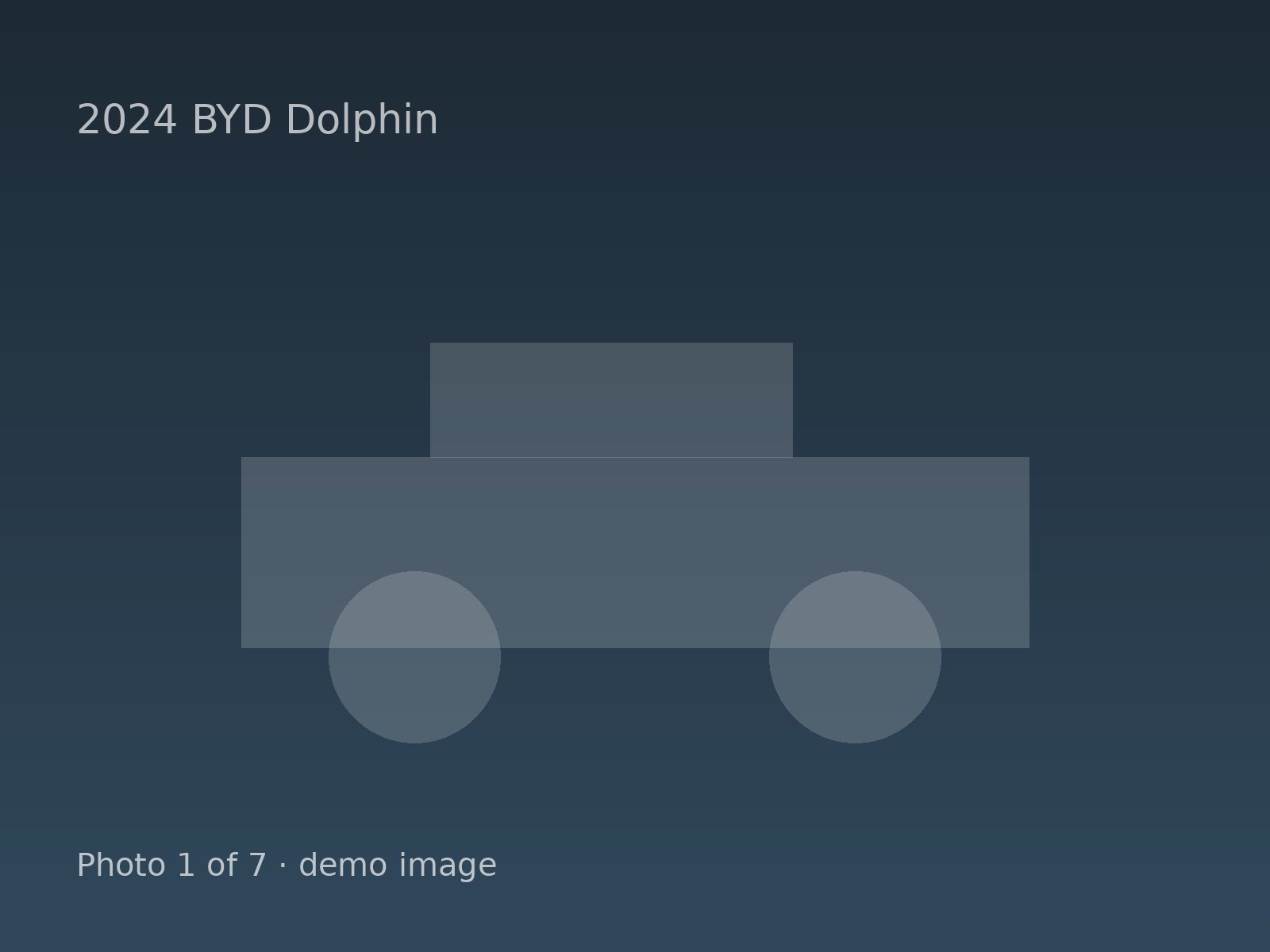 2024 BYD Dolphin — photo 1 of 7