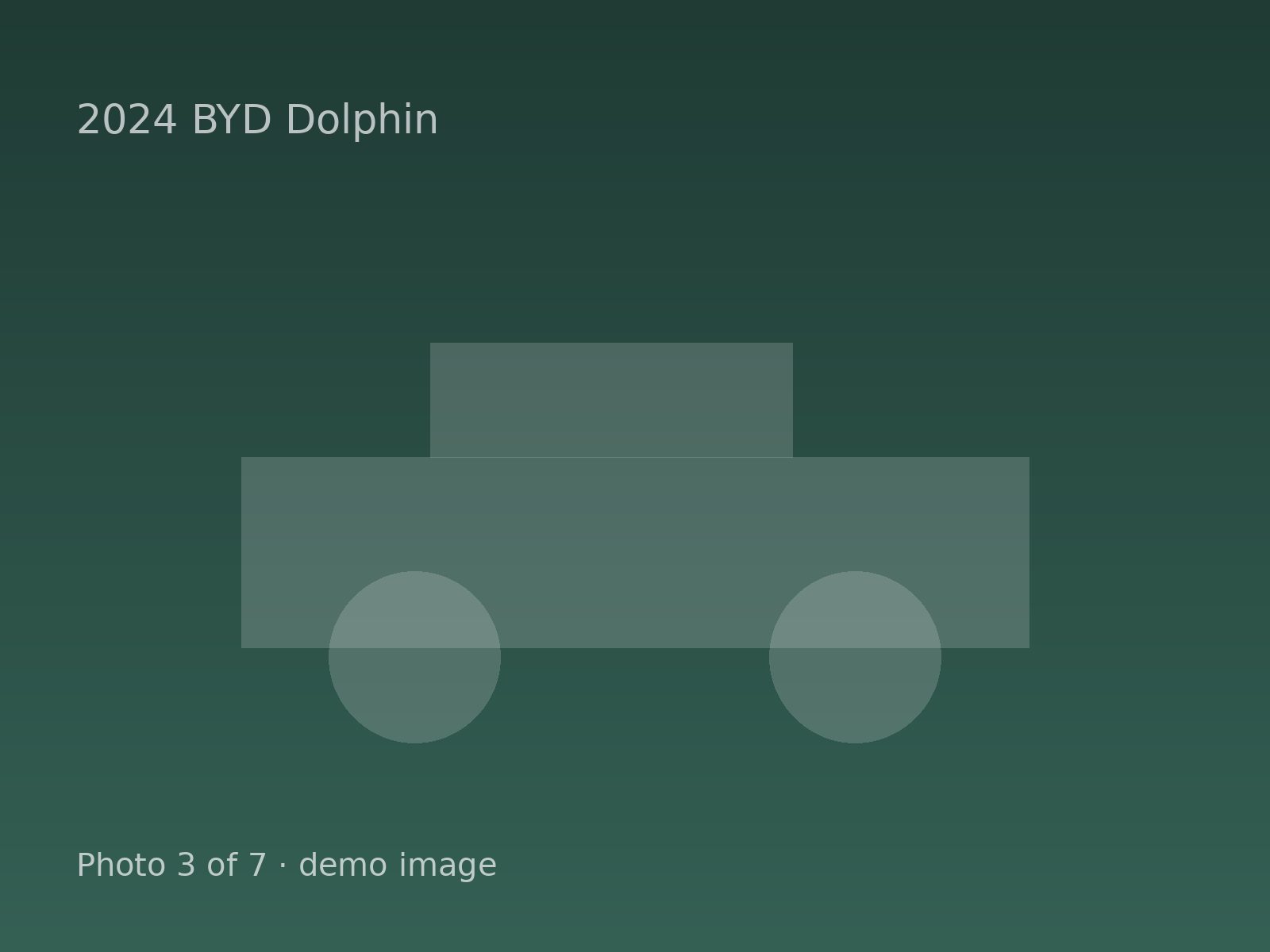 2024 BYD Dolphin — photo 3 of 7