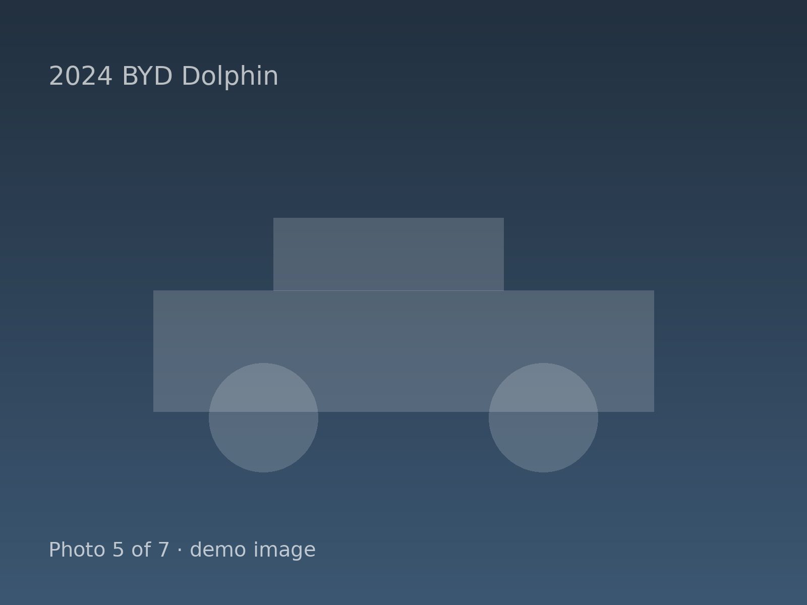 2024 BYD Dolphin — photo 5 of 7