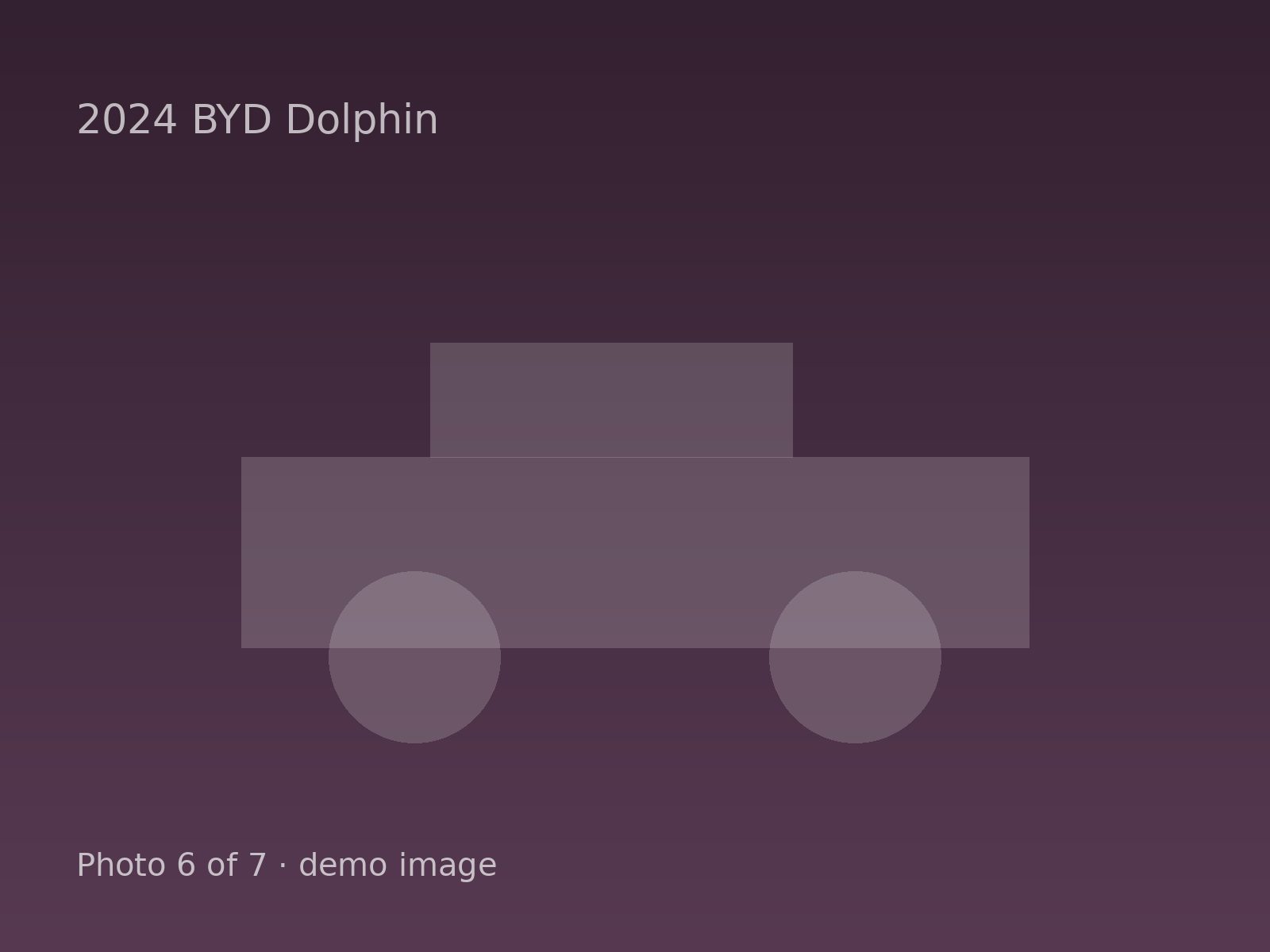 2024 BYD Dolphin — photo 6 of 7